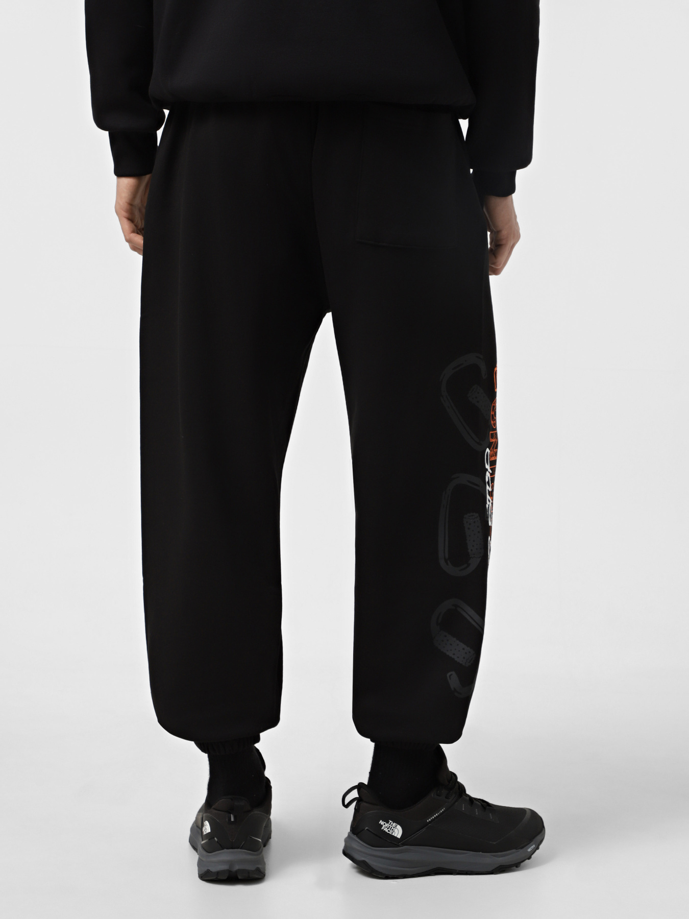 Штаны спортивные The North Face Nse Relaxed модель NF0A8C3WJK31 Фото