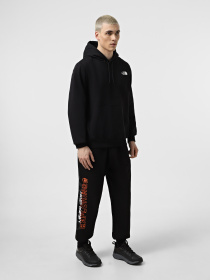 Штаны спортивные The North Face Nse Relaxed модель NF0A8C3WJK31 Фото
