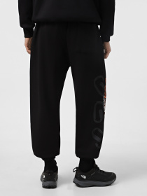 Штаны спортивные The North Face Nse Relaxed модель NF0A8C3WJK31 Фото