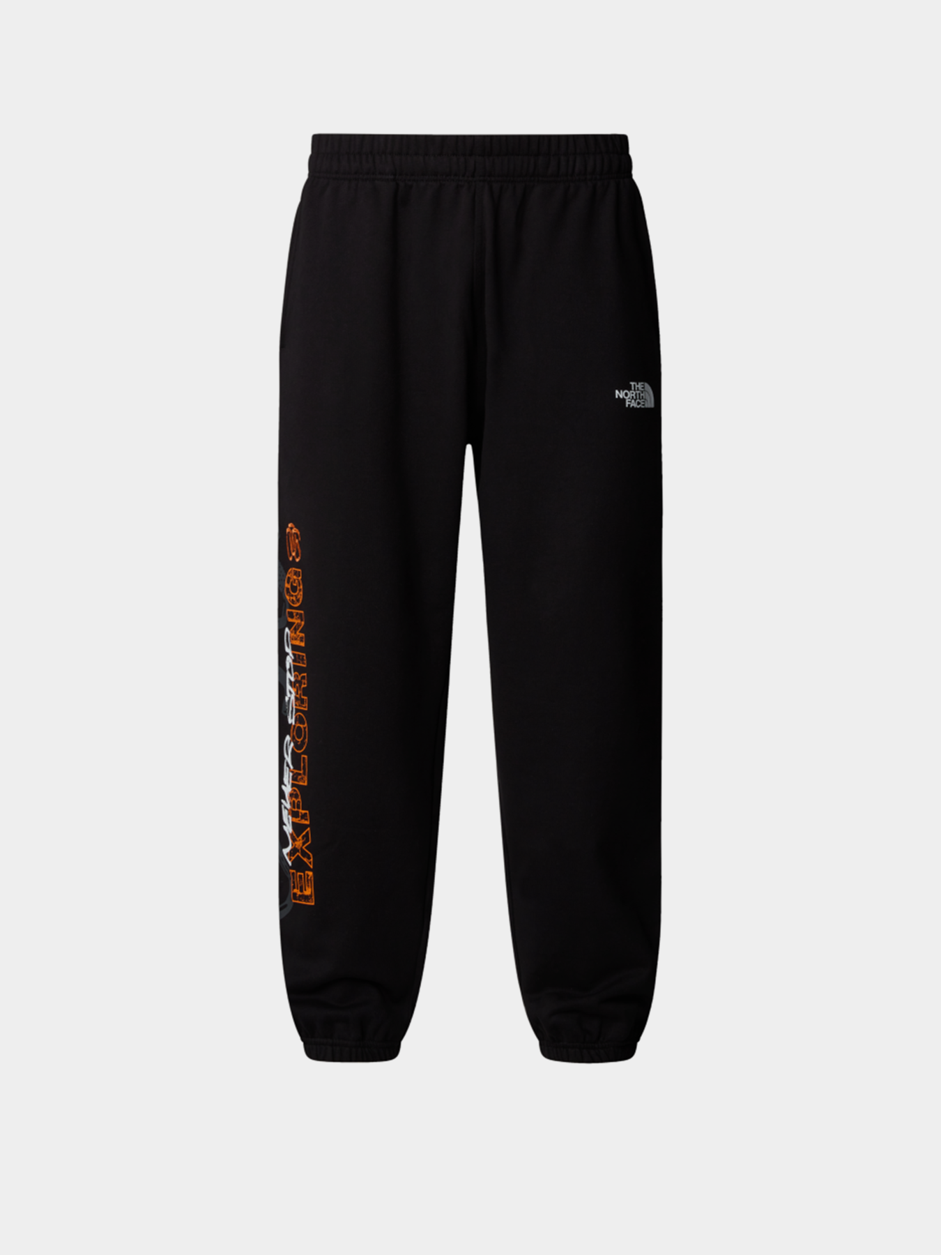 Штаны спортивные The North Face Nse Relaxed модель NF0A8C3WJK31 Фото