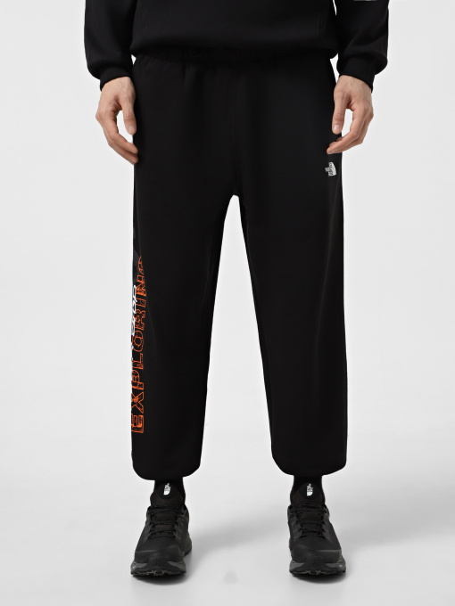 Спортивні штани The North Face Nse Relaxed модель NF0A8C3WJK31 Фото