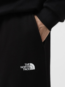 Штаны спортивные The North Face Nse Relaxed модель NF0A8C3WJK31 Фото