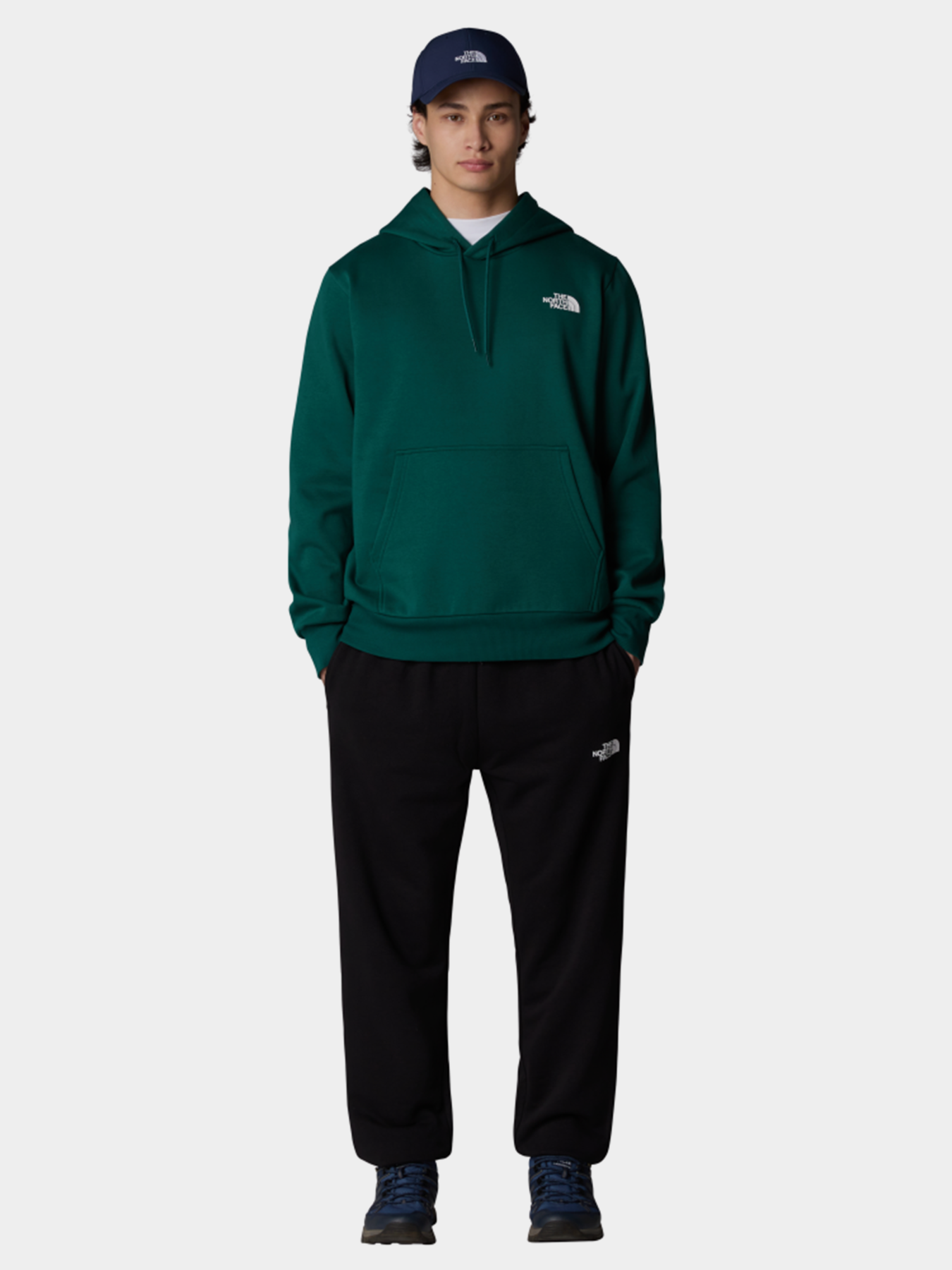 Штаны спортивные The North Face Simple Dome Light Regular Tapered модель NF0A8C41JK31 Фото