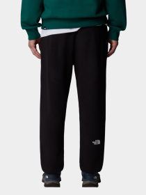 Штаны спортивные The North Face Simple Dome Light Regular Tapered модель NF0A8C41JK31 Фото