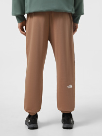 Штаны спортивные The North Face Simple Dome Light Regular Tapered модель NF0A8C416IH1 Фото