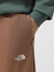 Штаны спортивные The North Face Simple Dome Light Regular Tapered модель NF0A8C416IH1 Фото