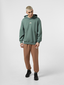 Спортивні штани The North Face Simple Dome Light Regular Tapered модель NF0A8C416IH1 Фото