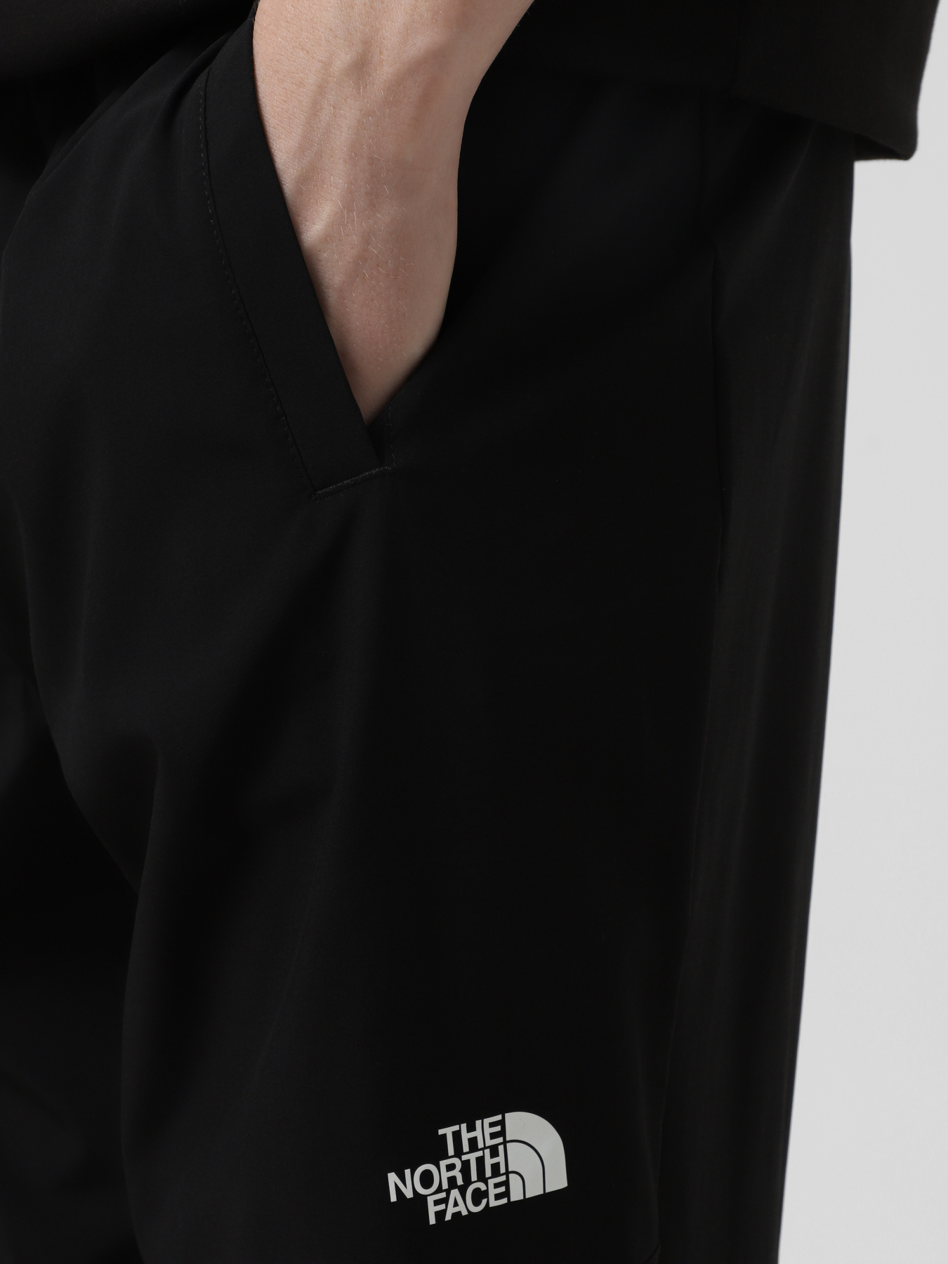 Штаны спортивные The North Face Ma Wind модель NF0A8BGNJK31 Фото