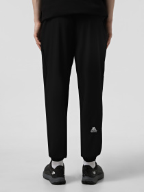 Спортивні штани The North Face Ma Wind модель NF0A8BGNJK31 Фото