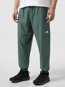 Штаны спортивные The North Face Ma Wind модель NF0A8BGNHCH1 Фото