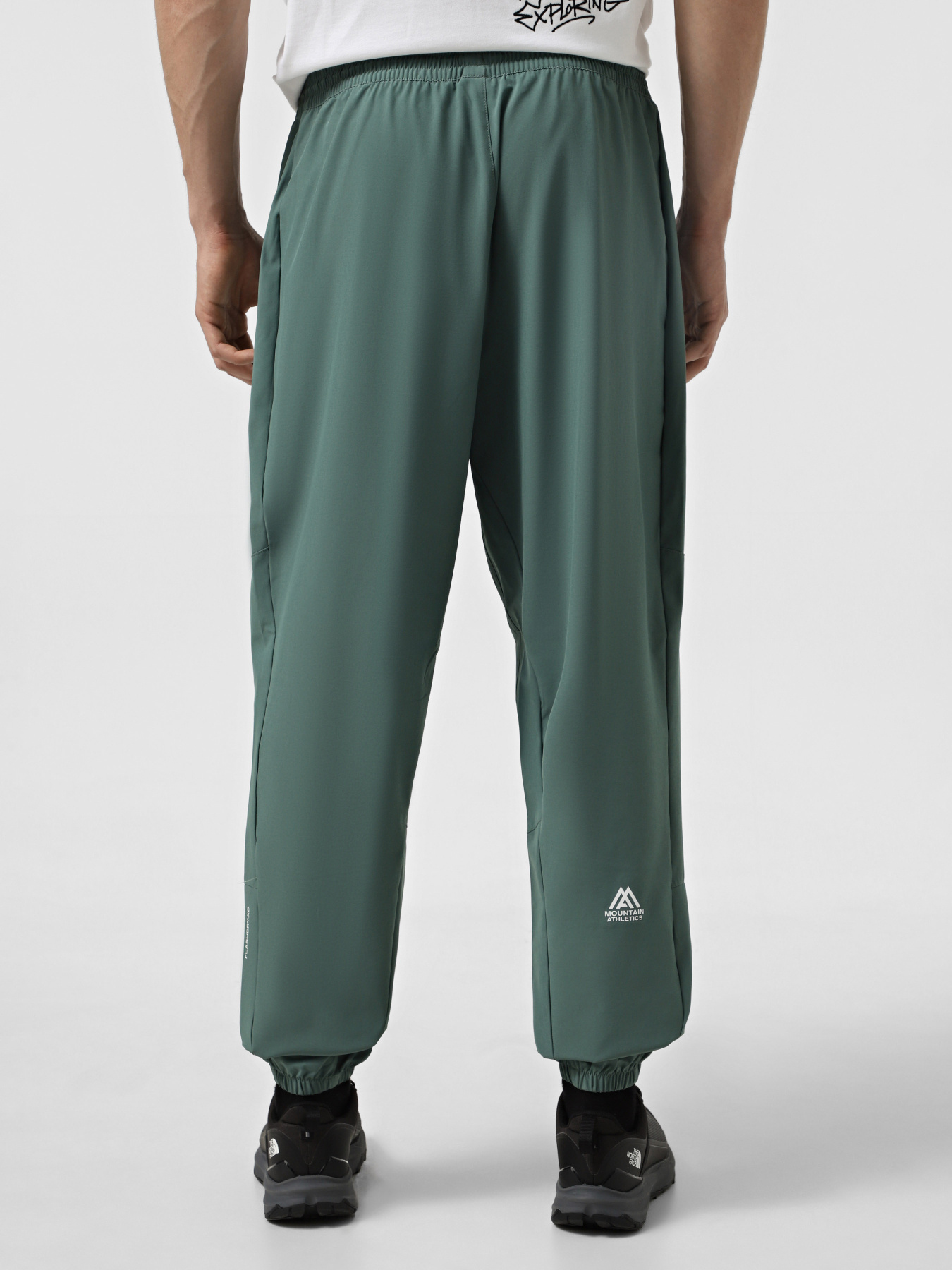 Штаны спортивные The North Face Ma Wind модель NF0A8BGNHCH1 Фото