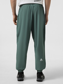 Штаны спортивные The North Face Ma Wind модель NF0A8BGNHCH1 Фото