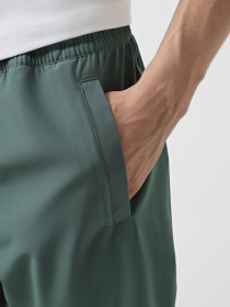 Штаны спортивные The North Face Ma Wind модель NF0A8BGNHCH1 Фото