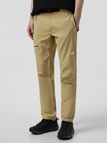 Штаны спортивные The North Face Lightning модель NF0A495N4FS1 Фото