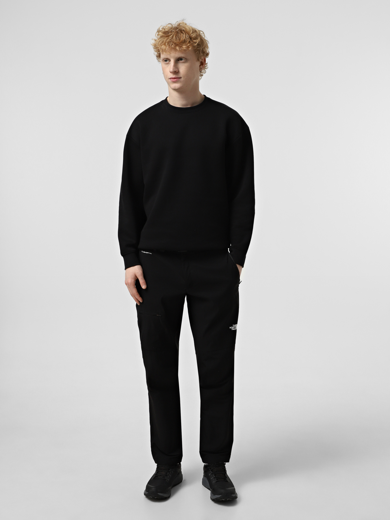 Штаны спортивные The North Face Lightning модель NF0A495N4H01 Фото