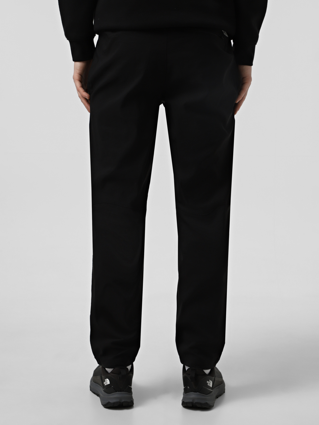 Штаны спортивные The North Face Lightning модель NF0A495N4H01 Фото