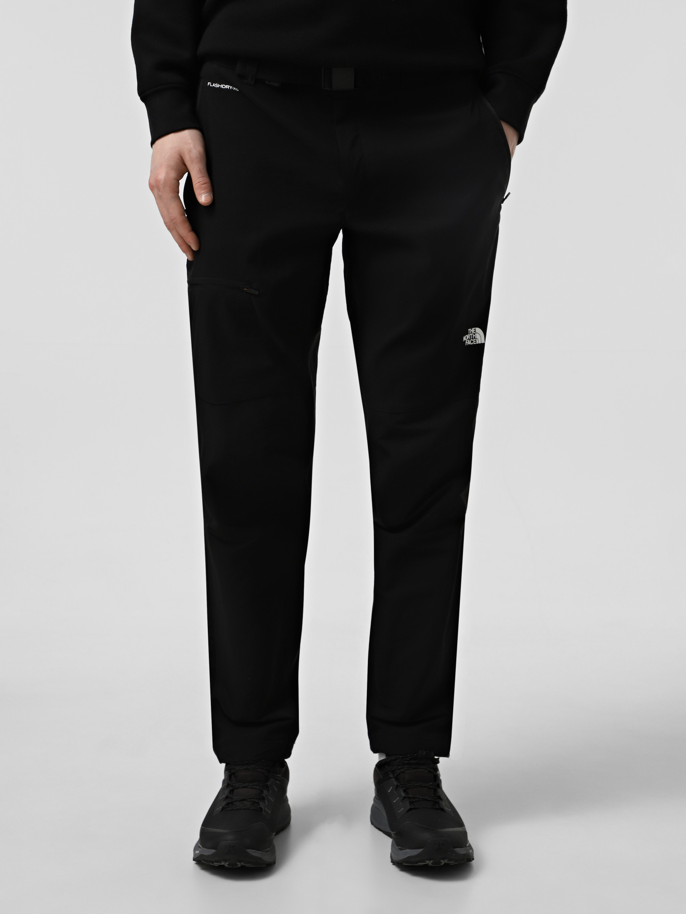 Штаны спортивные The North Face Lightning модель NF0A495N4H01 Фото