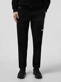 Штаны спортивные The North Face Lightning модель NF0A495N4H01 Фото