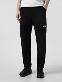 Штаны спортивные The North Face Speedlight Regular модель NF0A8BCAJK31 Фото