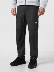 Спортивні штани The North Face Speedlight Regular модель NF0A8BCA0C51 Фото