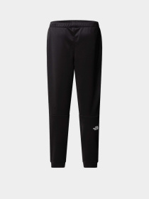 Штаны спортивные The North Face Reaxion Fleece модель NF0A8CNQJK31 Фото