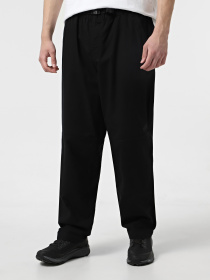 Повседневные штаны The North Face Belted Utility модель NF0A8B62JK31 Фото