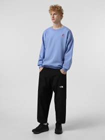 Штани спортивні The North Face Nse модель NF0A8BJNJK31 Фото