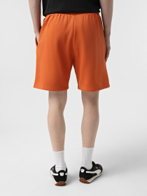 Шорти The North Face Box NSE Модель NF0A8C1J6D21 Фото