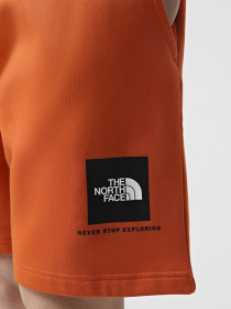 Шорти The North Face Box NSE Модель NF0A8C1J6D21 Фото