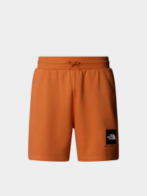 Шорти The North Face Box NSE Модель NF0A8C1J6D21 Фото