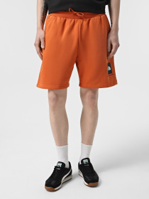 Шорти The North Face Box NSE Модель NF0A8C1J6D21 Фото