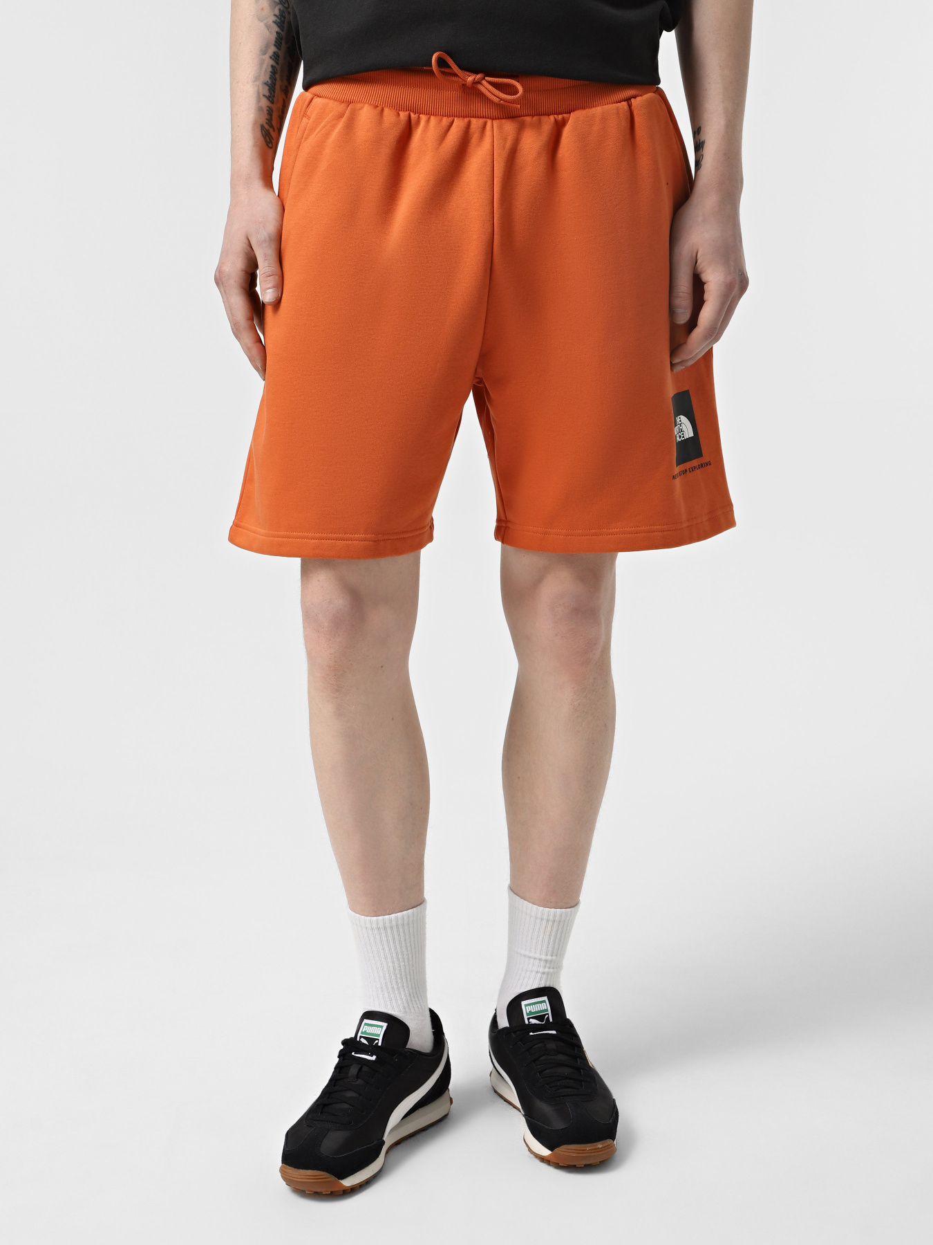 Повсякденні шорти The North Face Box NSE модель NF0A8C1J6D21 Фото