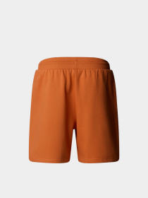 Повсякденні шорти The North Face Box NSE модель NF0A8C1J6D21 Фото