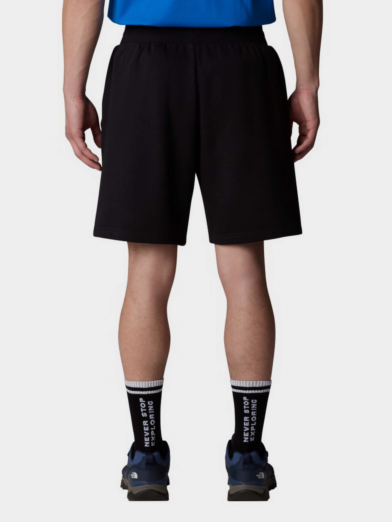 Повсякденні шорти The North Face Box NSE модель NF0A8C1JKY41 Фото