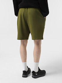 Шорти The North Face Terry Модель NF0A8C29PIB1 Фото