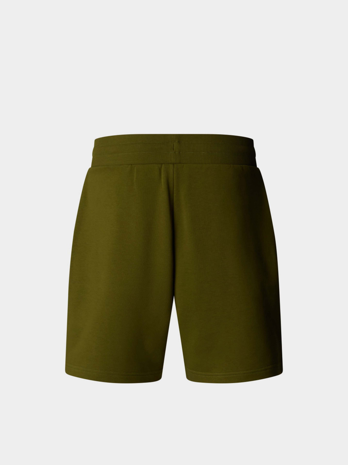 Повсякденні шорти The North Face Terry модель NF0A8C29PIB1 Фото