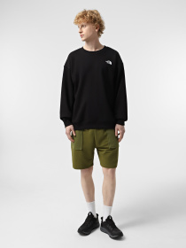 Повсякденні шорти The North Face Terry модель NF0A8C29PIB1 Фото