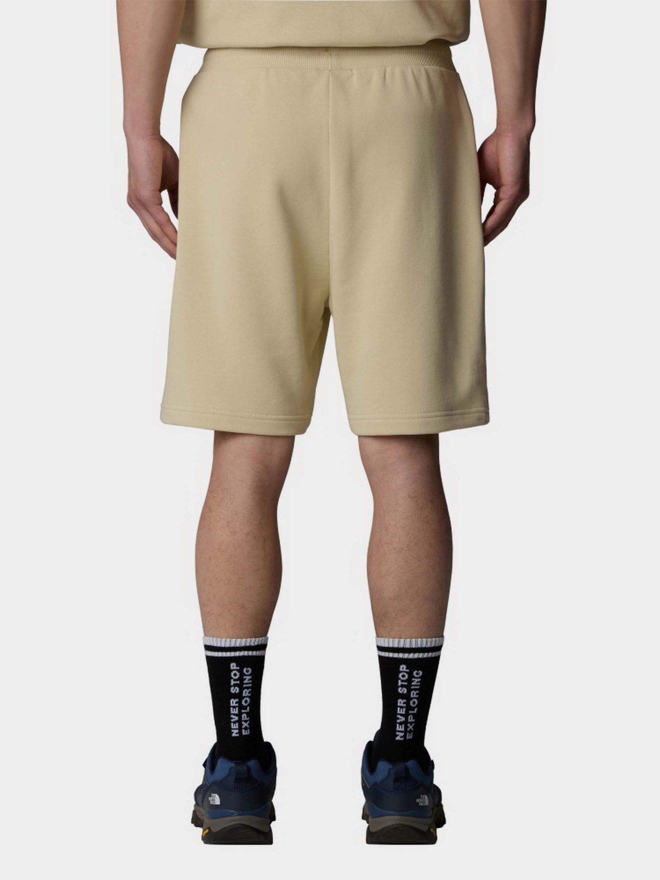 Шорти The North Face Terry модель NF0A8C293X41 Фото