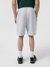 Шорты The North Face Essential модель NF0A8C2G0TI1 Фото