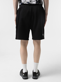 Повсякденні шорти The North Face Essential модель NF0A8C2GJK31 Фото