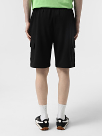 Шорты The North Face Cargo модель NF0A8C2ZJK31 Фото