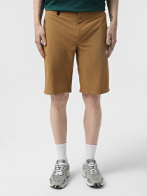 Шорты спортивные The North Face Tanken модель NF0A2S851731 Фото