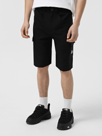 Шорты спортивные The North Face Horizon модель NF0A824D4H01 Фото