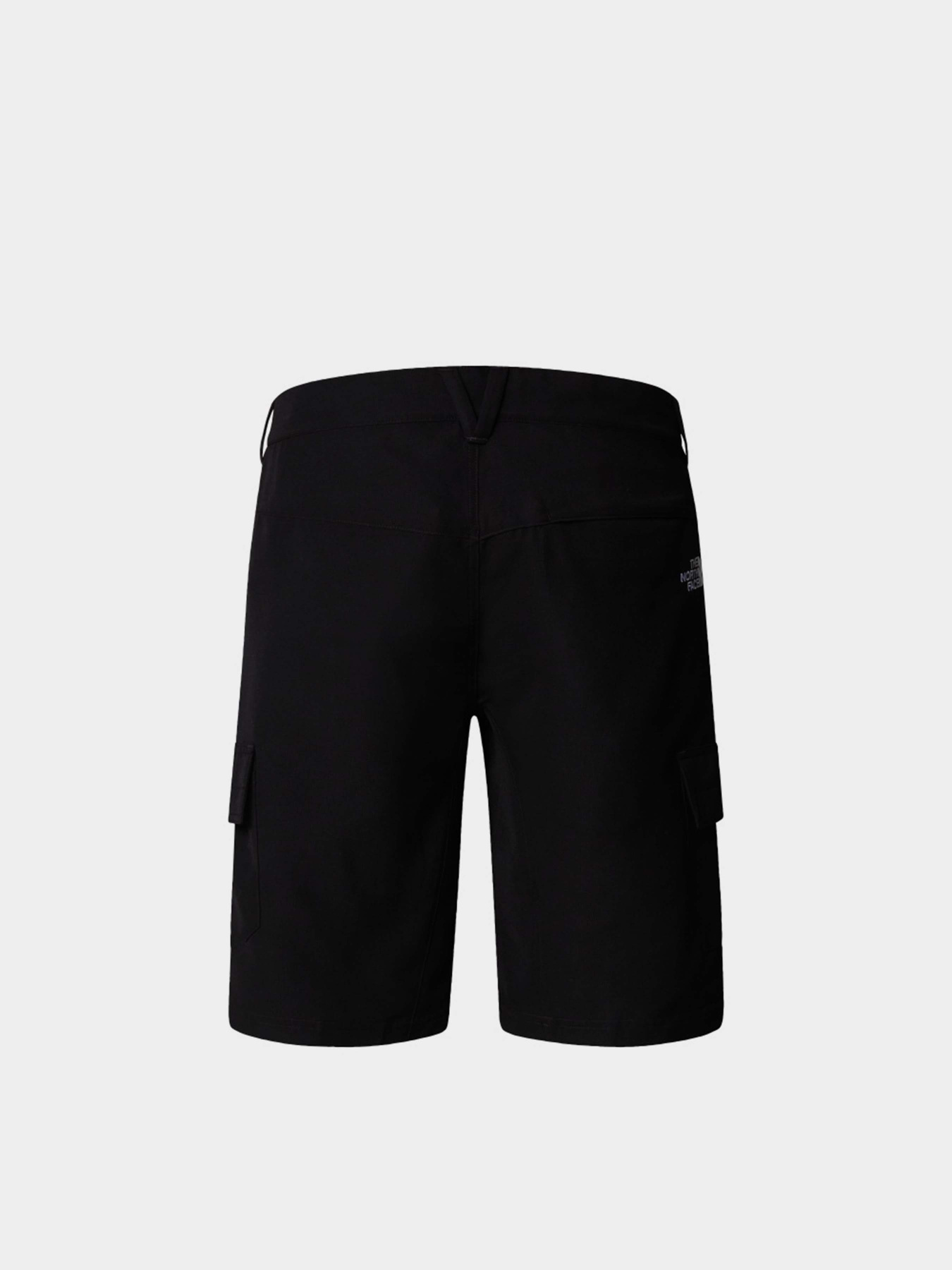 Спортивні шорти The North Face Horizon модель NF0A824D4H01 Фото