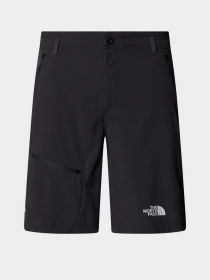 Шорты спортивные The North Face Speedlight Slim Tapered модель NF0A82694EN1 Фото