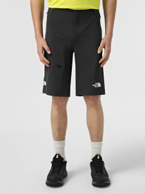 Шорты The North Face Speedlight Slim Tapered модель NF0A82694EN1 Фото