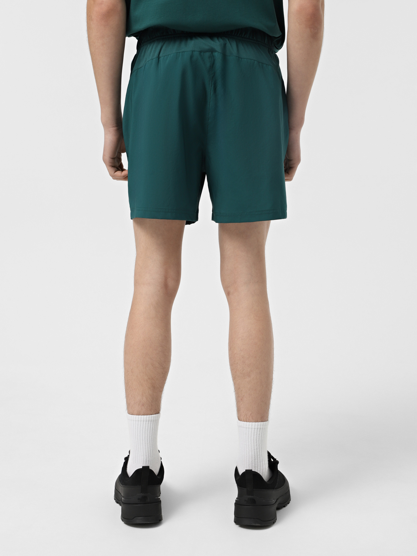 Шорты спортивные The North Face 24/7 5'' модель NF0A882D6GI1 Фото