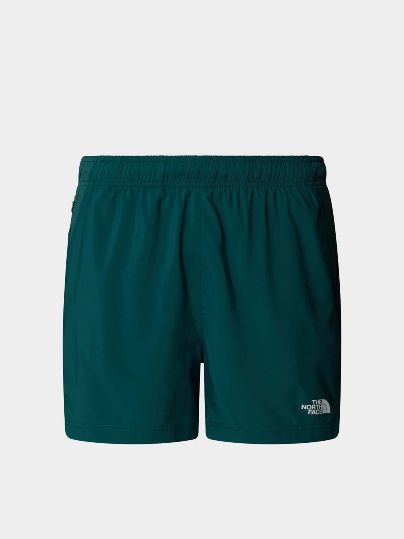 Шорты спортивные The North Face 24/7 5'' модель NF0A882D6GI1 Фото