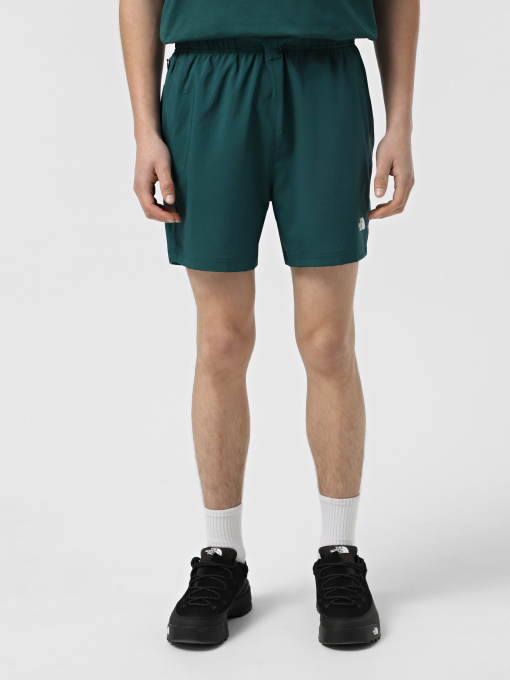 Шорты спортивные The North Face 24/7 5'' модель NF0A882D6GI1 Фото