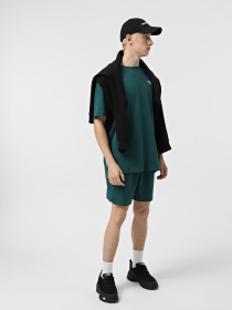 Шорты спортивные The North Face 24/7 5'' модель NF0A882D6GI1 Фото